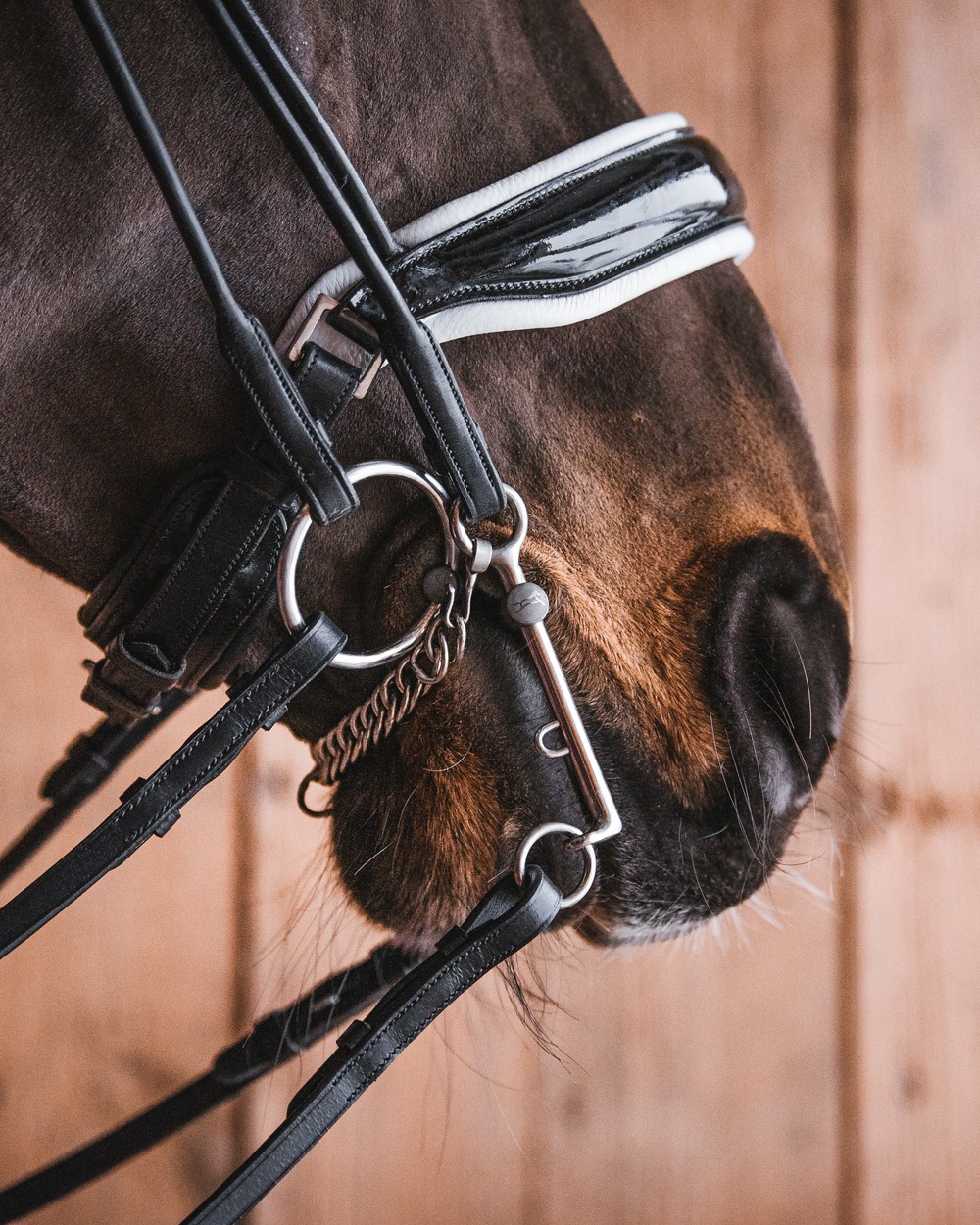 Spectacle de chevaux en liberté Jeudi 3 Mai à 9h30. - A Cheval sur Soi