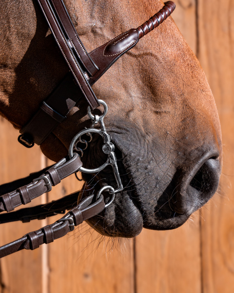 Mors Simple Agritura - A14756 - 18mm - Antirouille - Pour Cheval