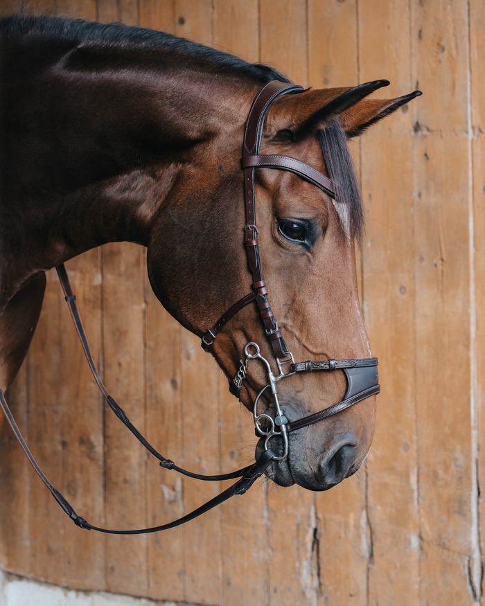 Personalizzabile In Pelle Originale Marrone Nero Bitless Cavallo Barocco Hackamo - Foto 3